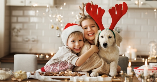 Holiday Foods Not Okay for Dogs: A Guide to Keep Your Furry Friends Safe