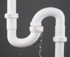 Detecting Water: Why Timely Leak Detection Services Matter